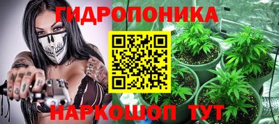 крисы Пыть-Ях