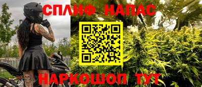 крисы Пыть-Ях