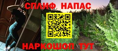 сатива Пушкино