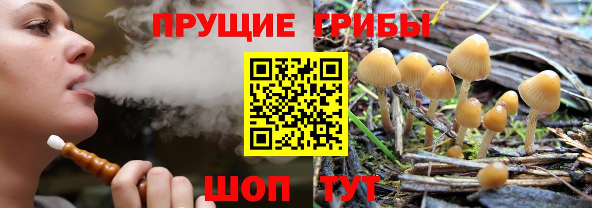 Псилоцибиновые грибы Magic Shrooms Сосновый Бор