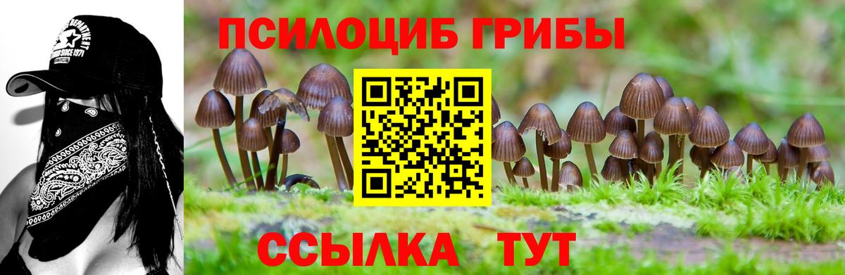 Сосновый Бор  Галлюциногенные грибы ЛСД  Псилоцибиновые грибы Psilocybine cubensis  Вход с VPN 