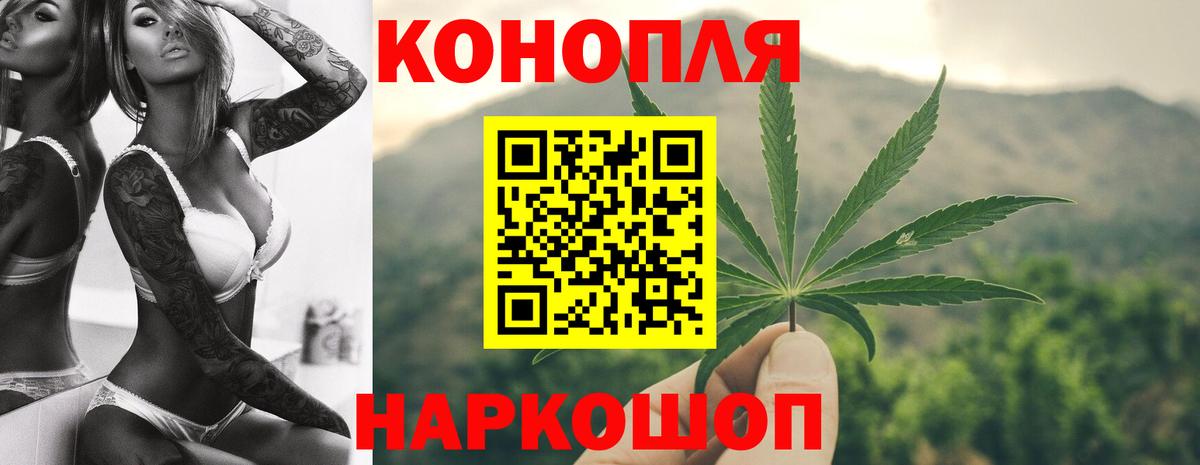 Сосновый Бор  МАРИХУАНА сатива  Вход с VPN  Канабис гибрид  Шишки марихуана VHQ 